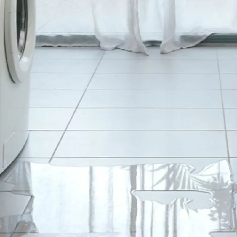 Appliance Leak Cleanup in Eden, NC
