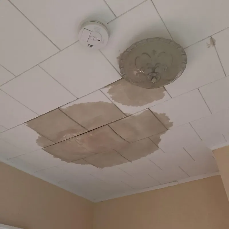 Ceiling Water Damage Repair in Eden, NC