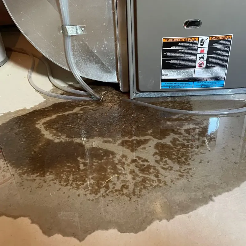 Pipe Burst and Leak Restoration in Eden, NC