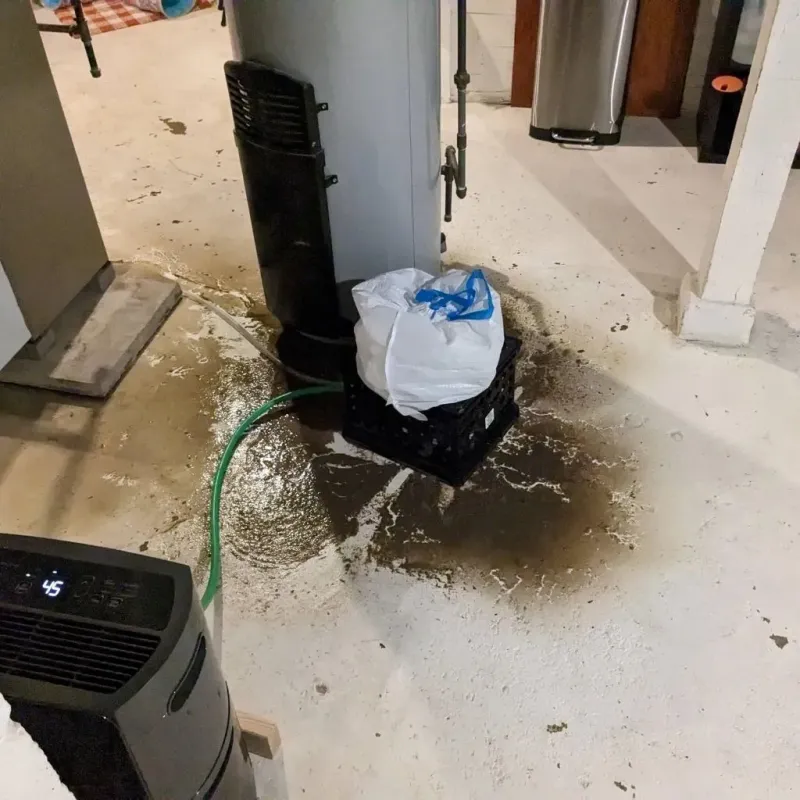 Sewage Backup Cleanup Service in Eden, NC